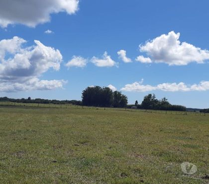 Fazendas - Sitios à venda - Fotos para Área Urbana 90ha no asfalto RS 030 Osório RS