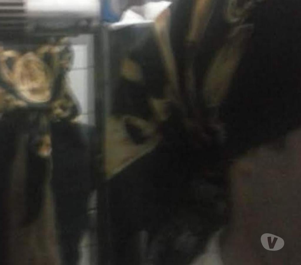 media-sa.viva-images.comvivastreet_brclad325620...