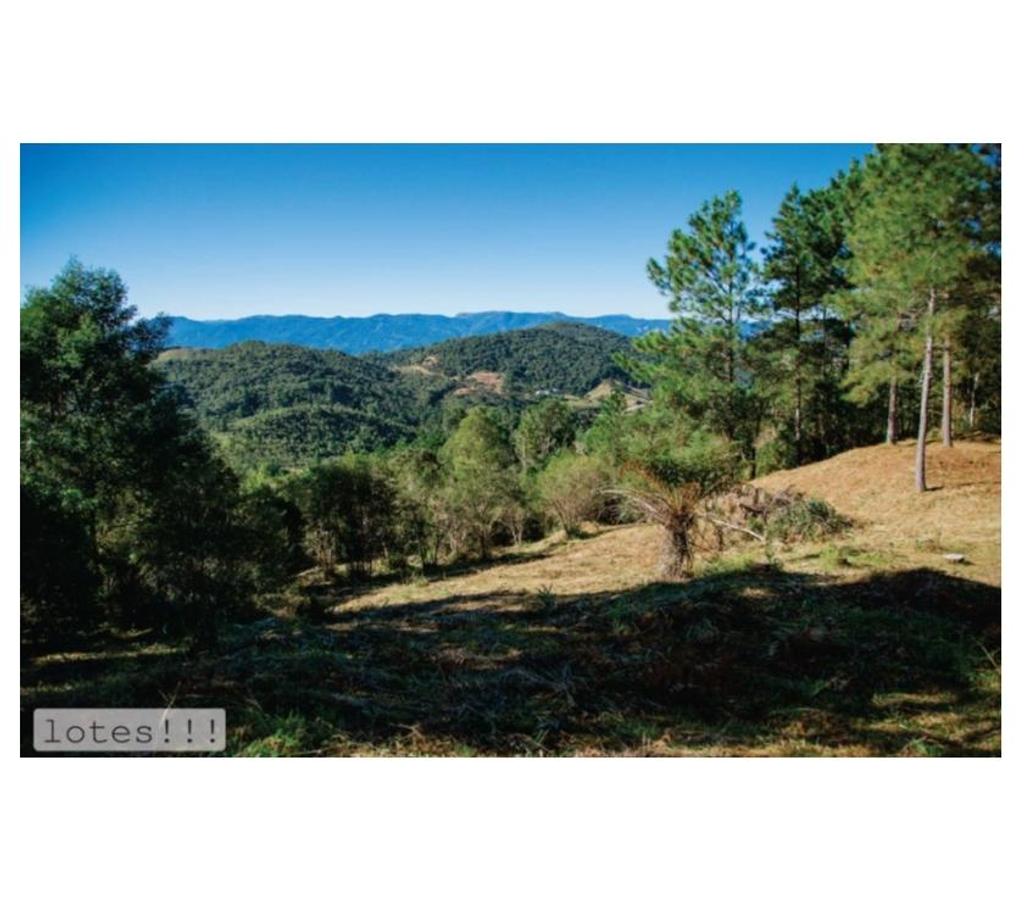 Terrenos Rancho Queimado SC - Fotos para Terreno a venda Rancho Queimado