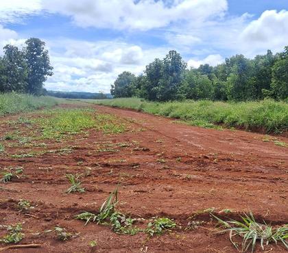 Terrenos - Fotos para LOTE Condomínio após a Faculdade UFG SAMAMBAIA