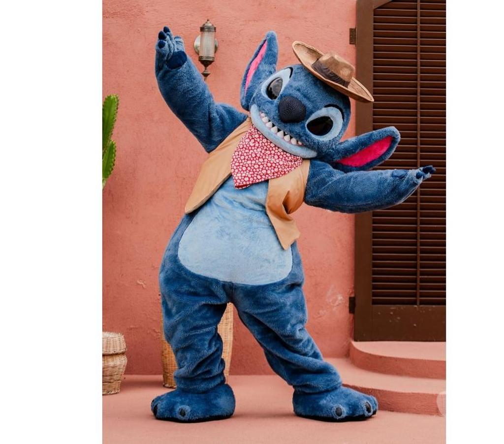 Serviços para eventos Belo Horizonte MG Noroeste - Fotos para PERSONAGENS JUNINOS JULHINOS PARA EVENTOS EM BH E REGIÃO