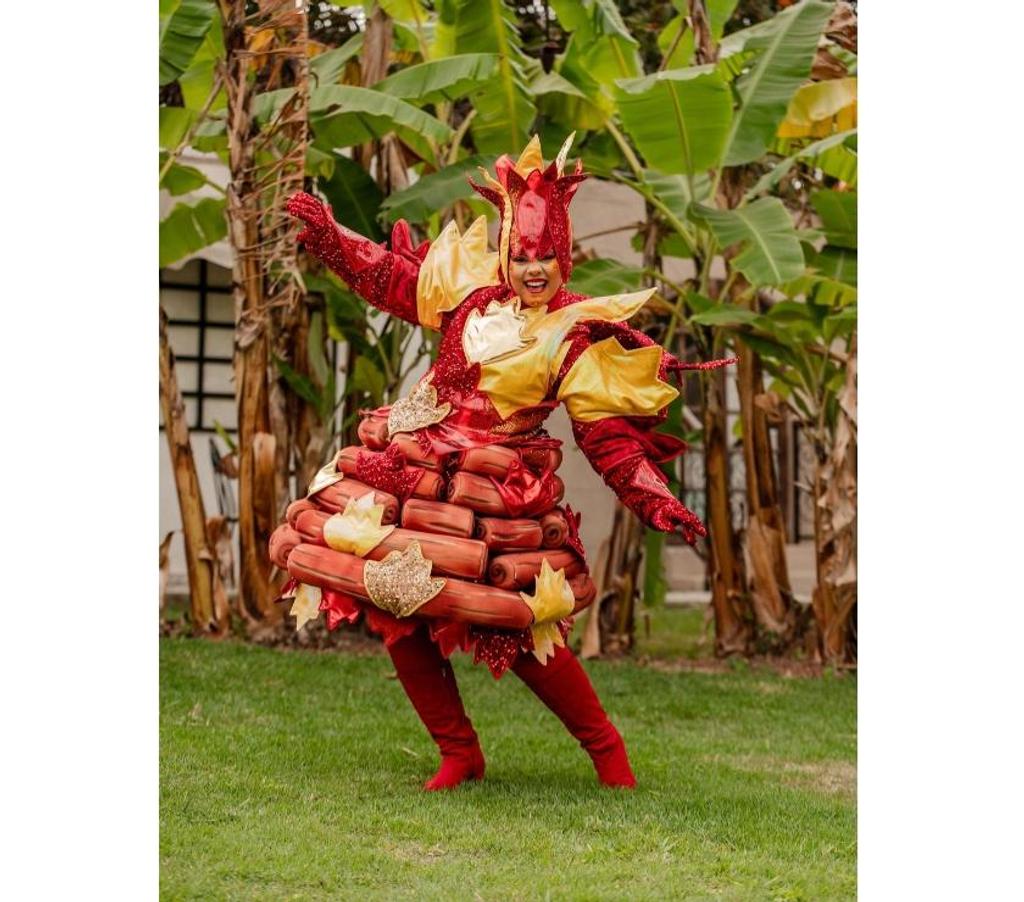 Serviços para eventos Belo Horizonte MG Noroeste - Fotos para PERSONAGENS JUNINOS JULHINOS PARA EVENTOS EM BH E REGIÃO