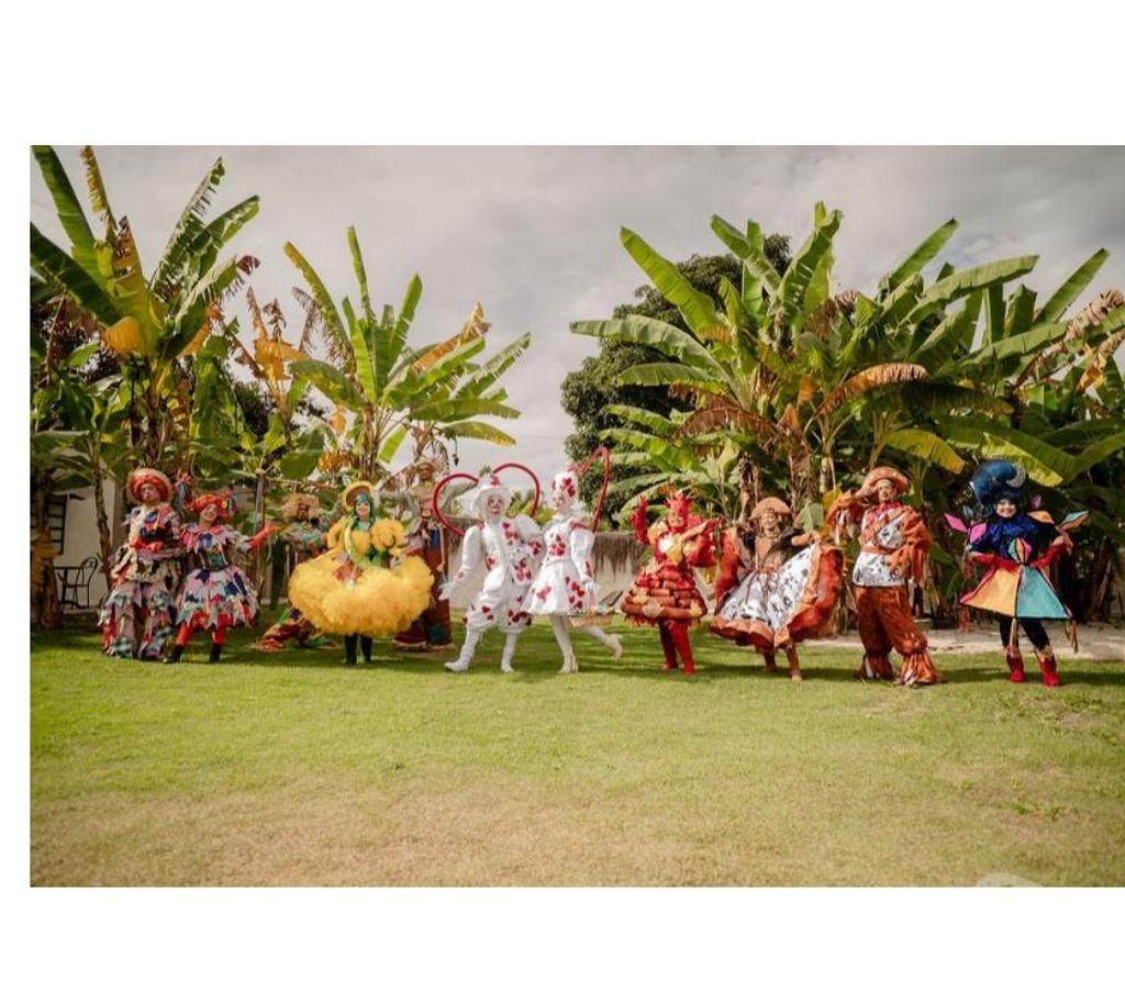 Serviços para eventos Belo Horizonte MG Centro-Sul - Fotos para PERSONAGENS PARA FESTA JUNINA