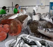 Peixaria na Zona Sul