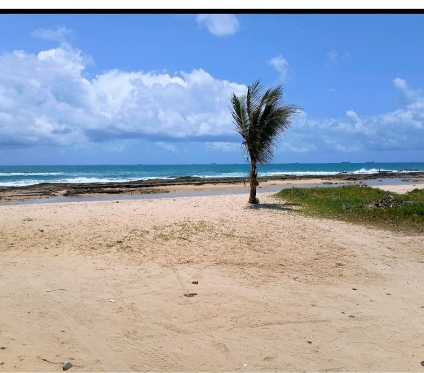 Terrenos a venda - Fotos para Praia Enseada dos Corais- Terreno Beira Mar 600m2