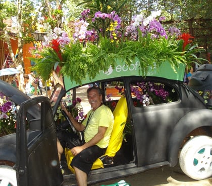 Bem-Estar - Saúde - Beleza - Fotos para MASSAGENS DEPILAÇÃO