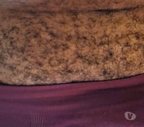 Pau peludo versátil