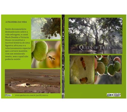 Video Games a Venda - Fotos para Dvd A Figueira da Vida