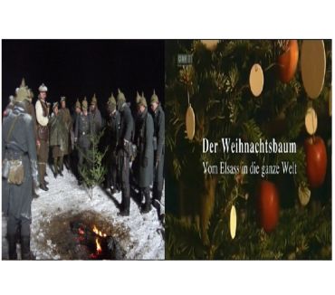 Video Games a Venda - Fotos para Dvd A História da Árvore de Natal