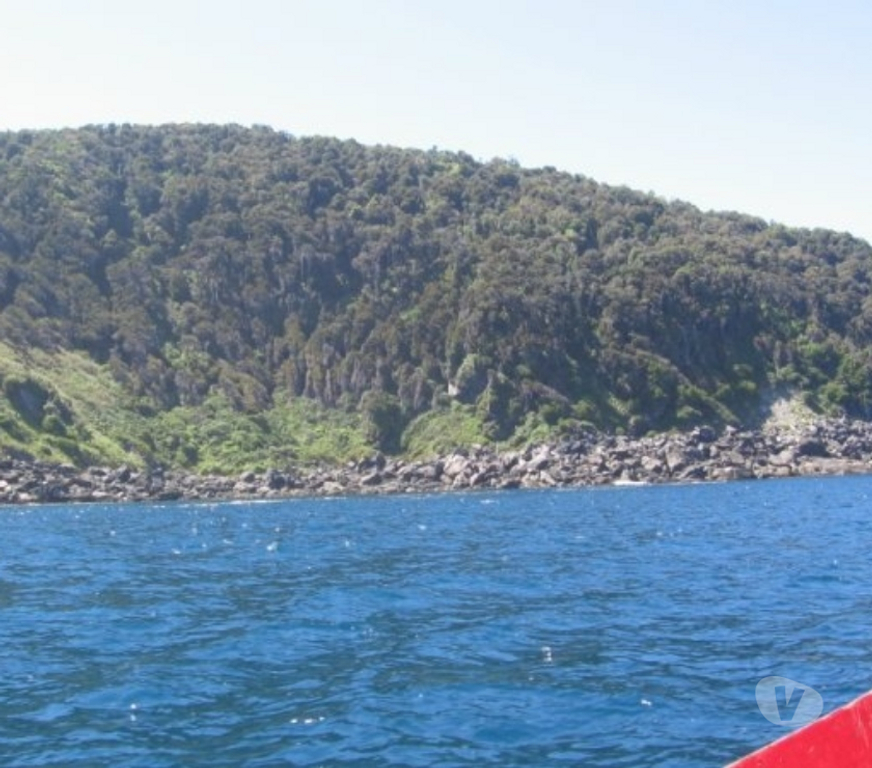 Venta de Haciendas Llanquihue Fresia - Fotos de Maravilloso de 128 hás Bahía Cóndor-Maullín junto al mar