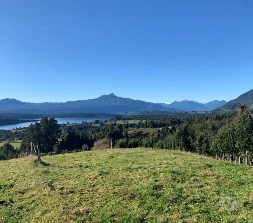 Venta de Haciendas Llanquihue Fresia - Fotos de Muy buen Campo Ganadero 700 hectáreas Fresia X Región