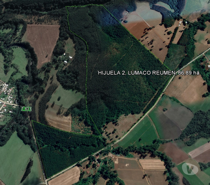 Venta de Haciendas Valdivia Paillaco - Fotos de Precioso Campo de 67 has en Reumén-Paillaco (Valdivia)