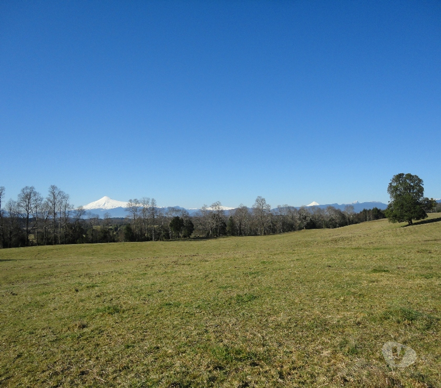 Venta de Haciendas Valdivia Panguipulli - Fotos de Precioso Campo de 112 hectareas en Panguipulli -Valdivia