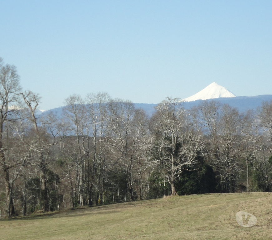 Venta de Haciendas Valdivia Panguipulli - Fotos de Precioso Campo de 112 hectareas en Panguipulli -Valdivia