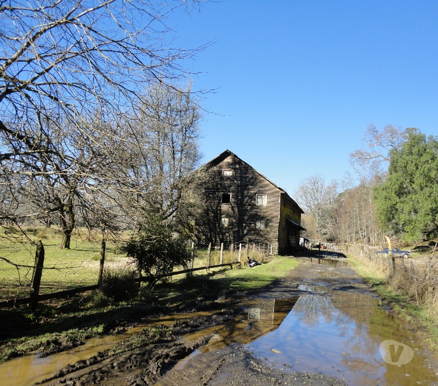 Venta de Haciendas Valdivia Panguipulli - Fotos de Precioso Campo de 112 hectareas en Panguipulli -Valdivia