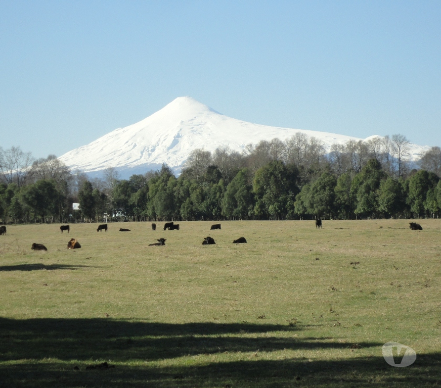 Venta de Haciendas Valdivia Panguipulli - Fotos de Precioso Campo de 112 hectareas en Panguipulli -Valdivia
