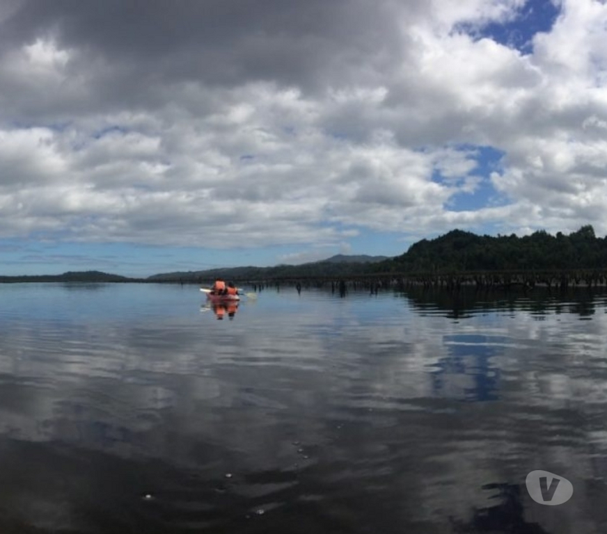 Venta de Haciendas Chiloé Ancud - Fotos de Precioso Campo de 372 hectareas en Ancud-Chiloe