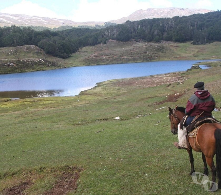 Venta de Haciendas General Carrera Chile Chico - Fotos de Campo de 295 hectareas Puerto Guadal Lago Gral Carrera-Aysen