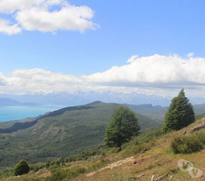 Venta de Fundos Chile Chico General Carrera - Fotos de Campo de 295 hectareas Puerto Guadal Lago Gral Carrera-Aysen
