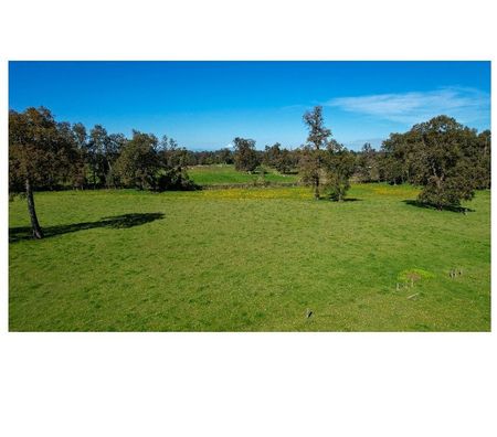 Parcelas en Venta Osorno Osorno - Fotos de Hermosas Parcelas Entre Pellines - Osorno