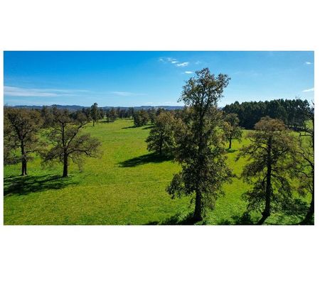 Parcelas en Venta Osorno Osorno - Fotos de Hermosas Parcelas Entre Pellines - Osorno