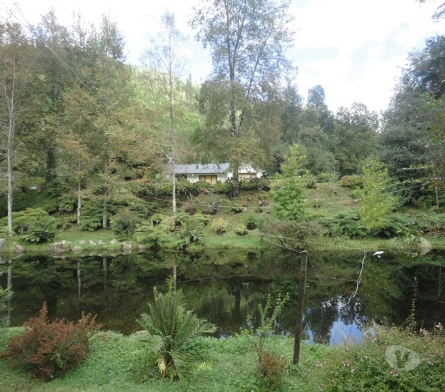 Venta de Haciendas Ranco Lago Ranco - Fotos de Espectacular Campo de 1.010 hás en Lago Ranco-Bosque Nativo