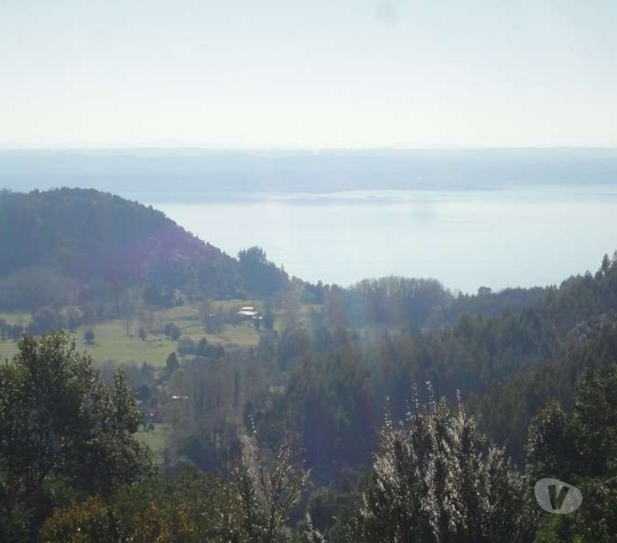 Venta de Haciendas Ranco Lago Ranco - Fotos de Espectacular Campo de 1.010 hás en Lago Ranco-Bosque Nativo
