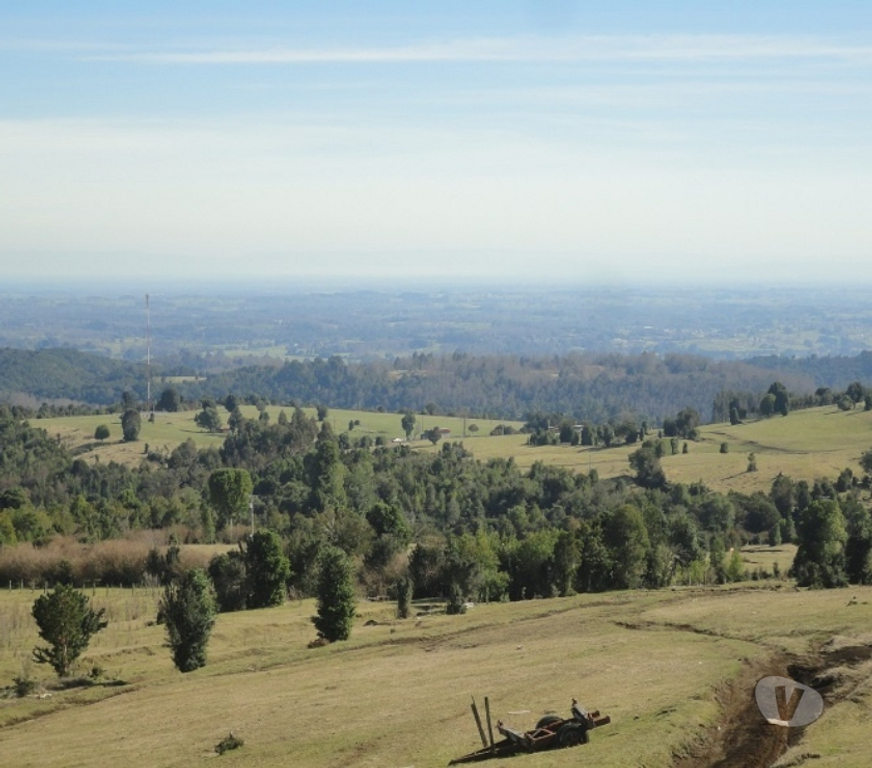 Venta de Haciendas Ranco Lago Ranco - Fotos de Espectacular Campo de 1.010 hás en Lago Ranco-Bosque Nativo