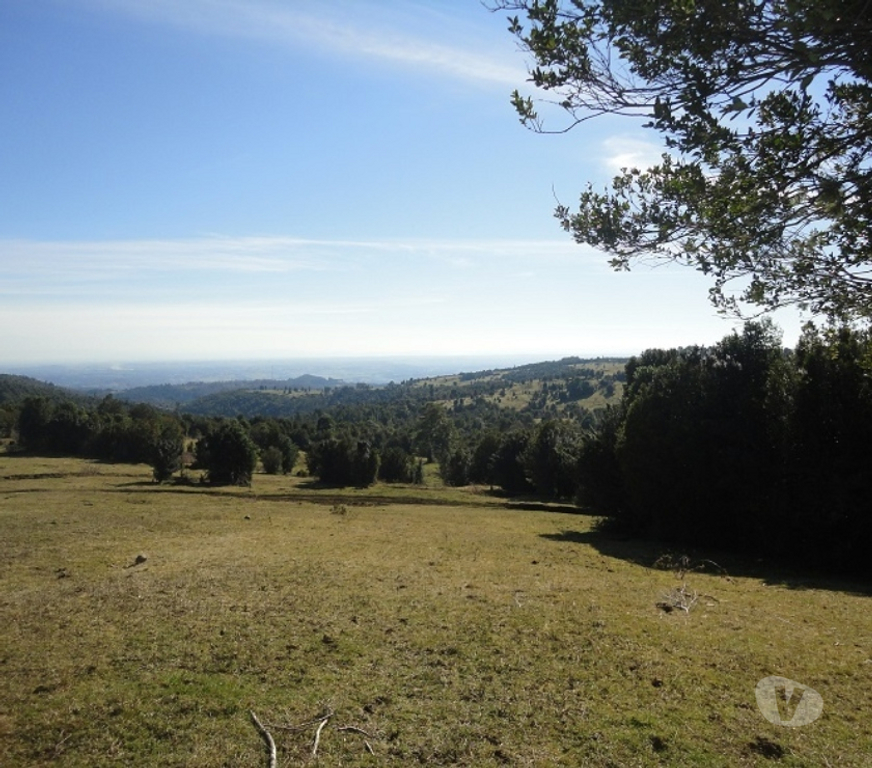Venta de Haciendas Ranco Lago Ranco - Fotos de Espectacular Campo de 1.010 hás en Lago Ranco-Bosque Nativo