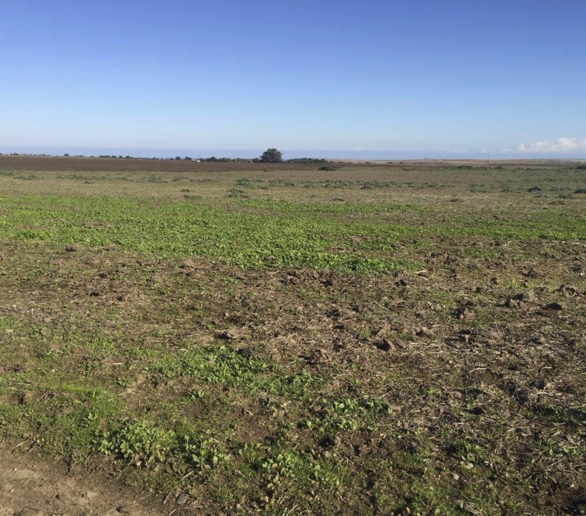 Venta de Haciendas Santo Domingo San Antonio - Fotos de Extraordinario Campo de 2280 Has costero en Santo Domingo