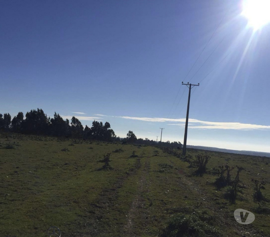 Venta de Haciendas San Antonio Santo Domingo - Fotos de Extraordinario Campo de 2280 Has costero en Santo Domingo