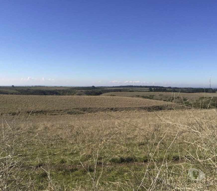Venta de Haciendas San Antonio Santo Domingo - Fotos de Extraordinario Campo de 2280 Has costero en Santo Domingo