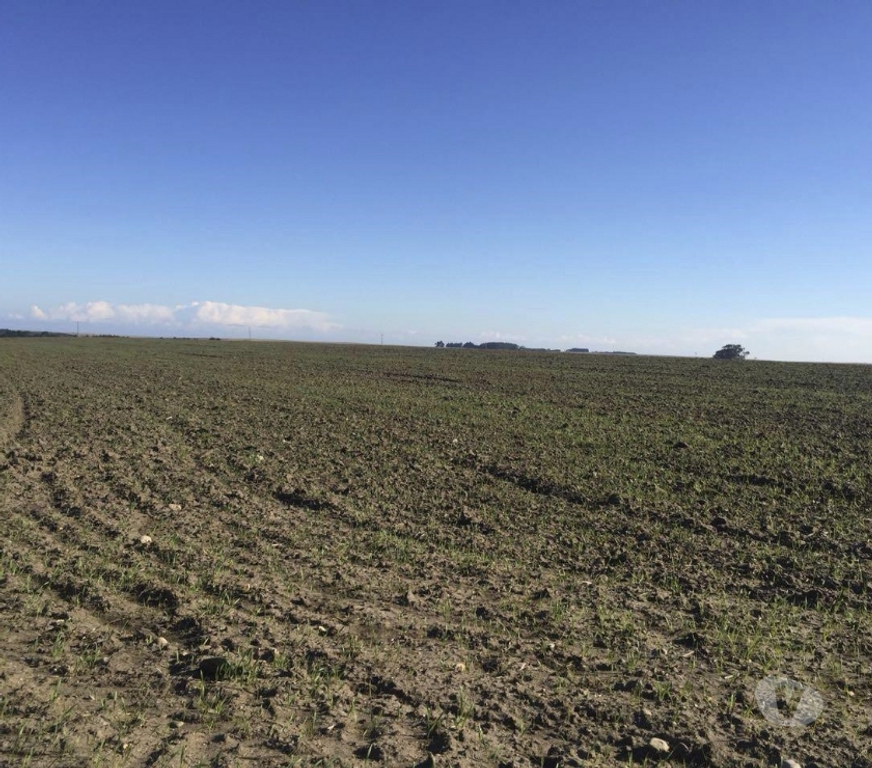 Venta de Haciendas San Antonio Santo Domingo - Fotos de Extraordinario Campo de 2280 Has costero en Santo Domingo