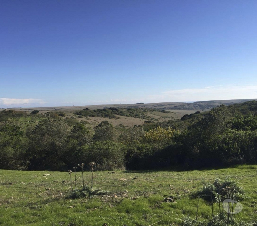 Venta de Haciendas San Antonio Santo Domingo - Fotos de Extraordinario Campo de 2280 Has costero en Santo Domingo