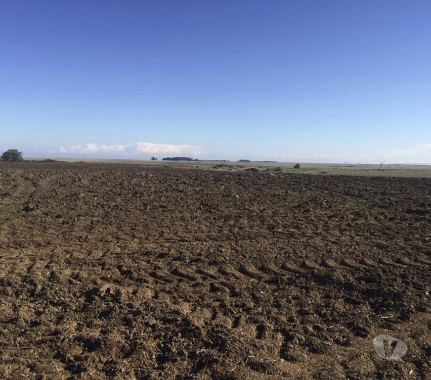 Venta de Haciendas San Antonio Santo Domingo - Fotos de Extraordinario Campo de 2280 Has costero en Santo Domingo