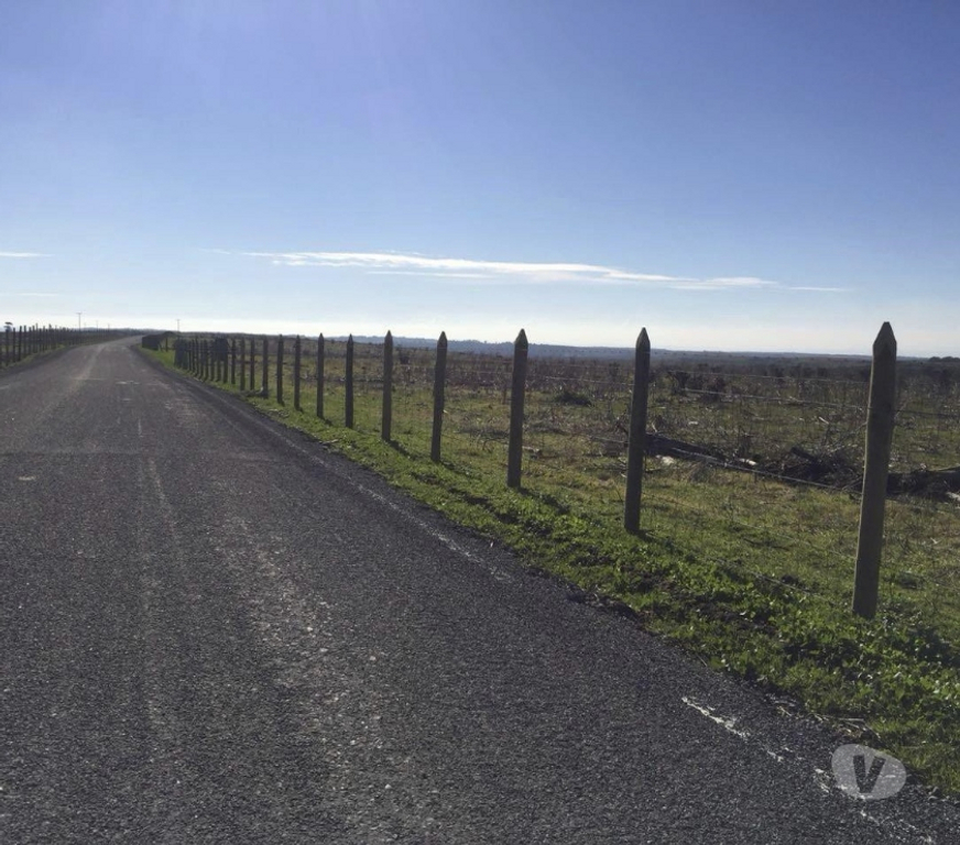 Venta de Haciendas San Antonio Santo Domingo - Fotos de Extraordinario Campo de 2280 Has costero en Santo Domingo