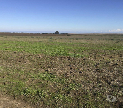 Venta de Haciendas Santo Domingo San Antonio - Fotos de Extraordinario Campo de 2280 Has costero en Santo Domingo