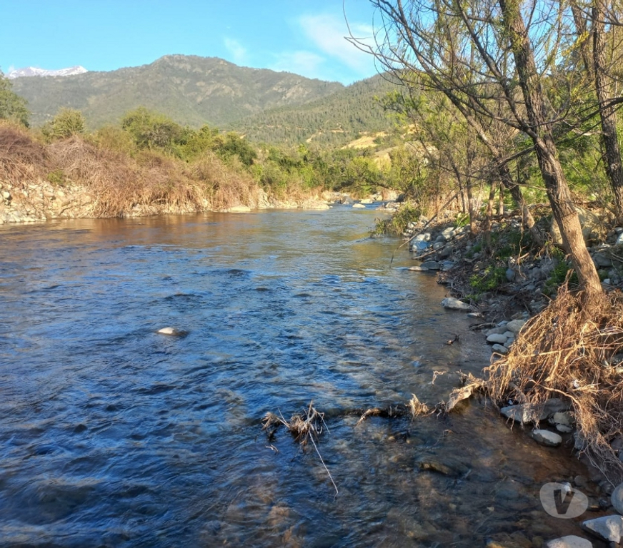 Venta de Haciendas Curicó Teno - Fotos de Espectacular Campo de 110 hás en Teno-La Montaña-Loteado