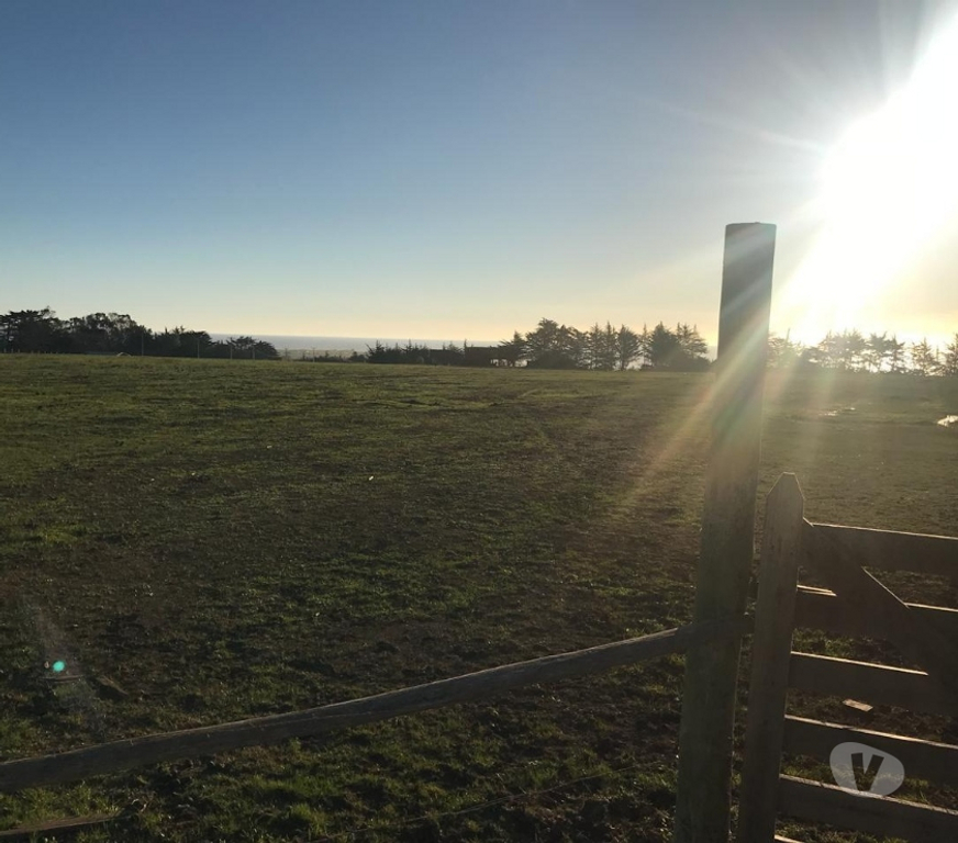 Parcelas en Venta Cardenal Caro Pichilemu - Fotos de Extraordinario Terreno Punta de Lobos-Pichilemu VI Región