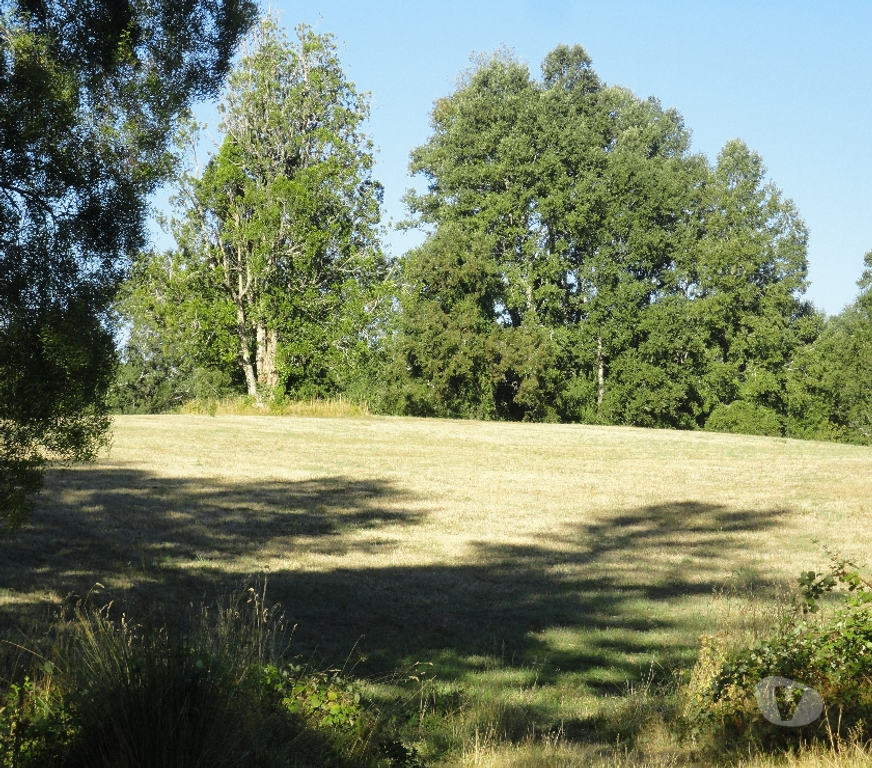 Venta de Haciendas Cautín Pitrufquén - Fotos de Precioso Campo de 66 hás en Pitrufquén cerca de Villarrica