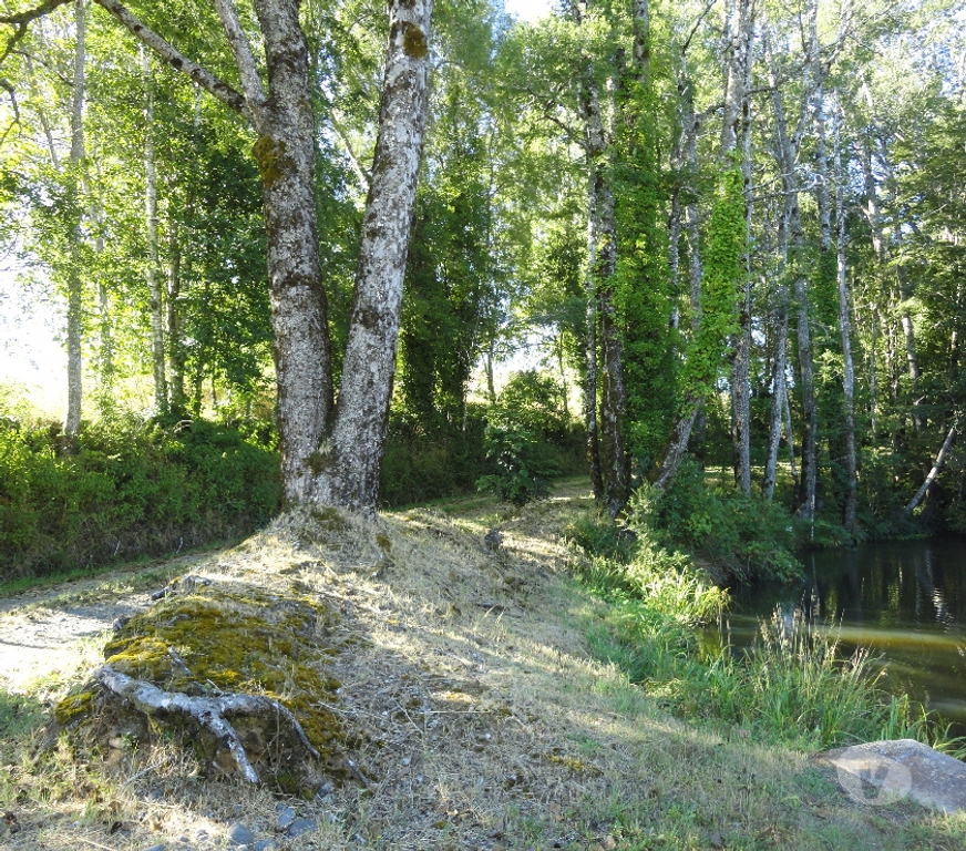 Venta de Haciendas Cautín Pitrufquén - Fotos de Precioso Campo de 66 hás en Pitrufquén cerca de Villarrica