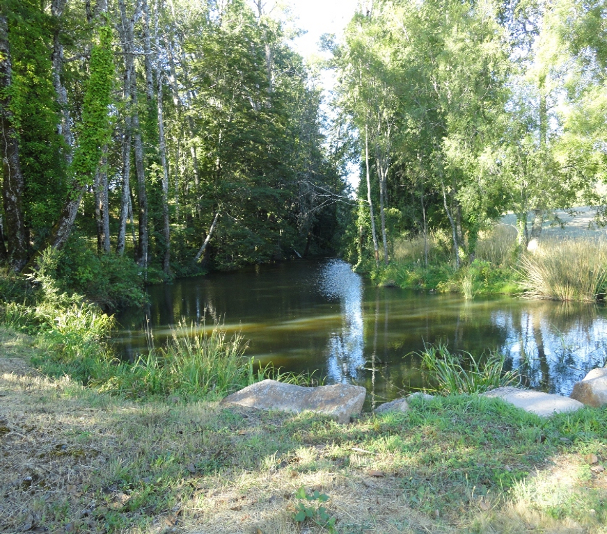 Venta de Haciendas Cautín Pitrufquén - Fotos de Precioso Campo de 66 hás en Pitrufquén cerca de Villarrica