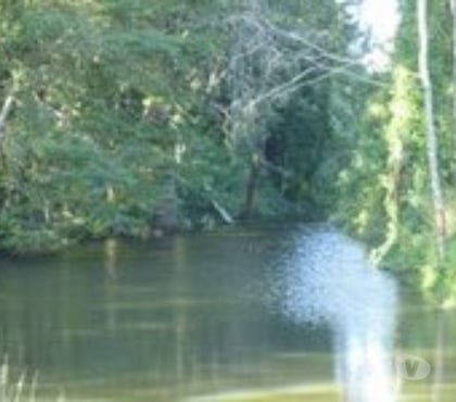 Haciendas en Venta Pitrufquén Cautín - Fotos de Precioso Campo de 66 hás en Pitrufquén cerca de Villarrica