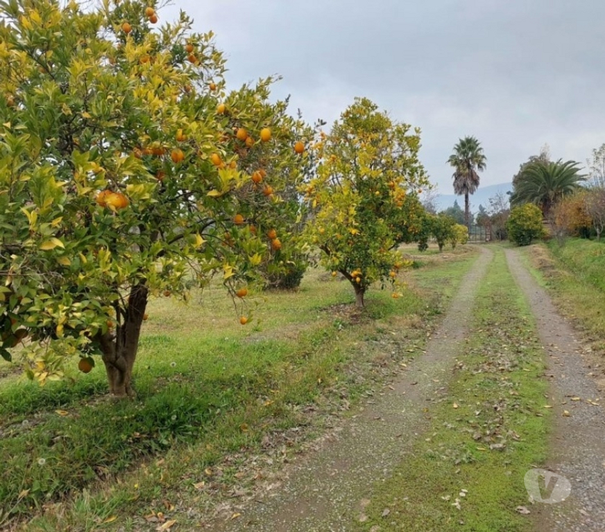 Bienes Raices Maipo Buin - Fotos de VENTA POR APURO Buin – Campusano, casa en parcela.