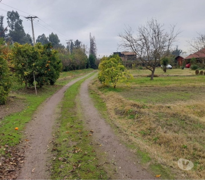 Bienes Raices Maipo Buin - Fotos de VENTA POR APURO Buin – Campusano, casa en parcela.