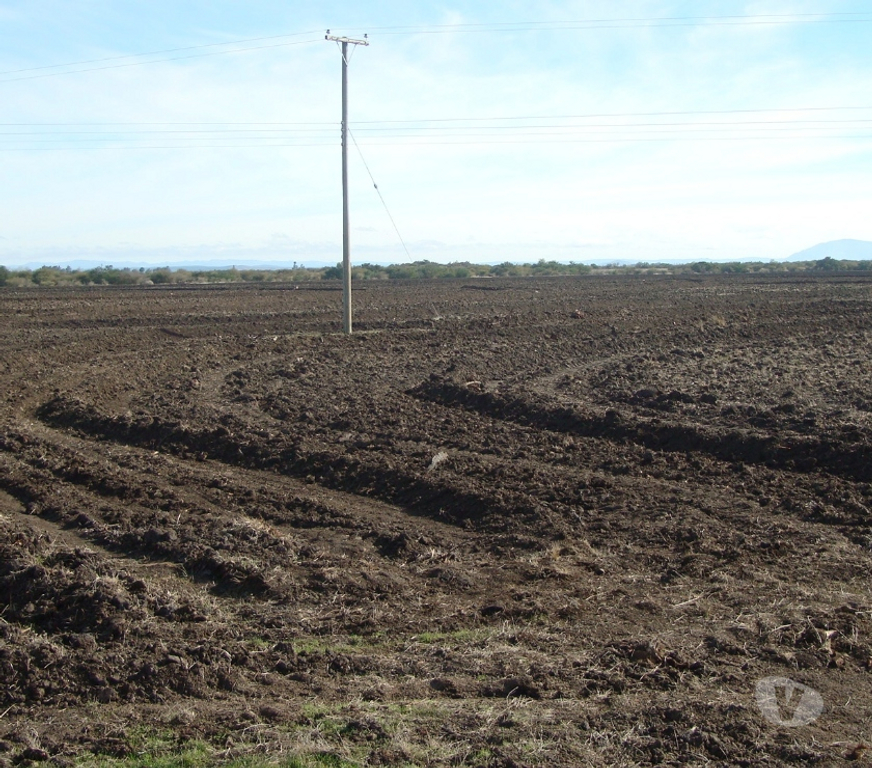 Venta de Haciendas Ñuble San Carlos - Fotos de 950 HAS PLANAS DE RIEGO $17.100 millones