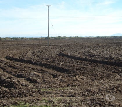 Campos en Venta San Carlos Ñuble - Fotos de 950 HAS PLANAS DE RIEGO
