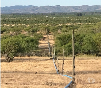 Campos en Venta San Javier Linares - Fotos de VENDO 100, 200, 300, 400, 500 o 600 HECTÁREAS DE RULO