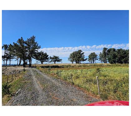 Parcelas en Venta Arauco Arauco - Fotos de PARCELAS ARAUCO CURAQUILLA PLAYA VENTA