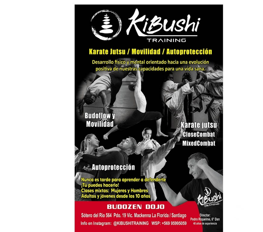Otros Cursos Santiago La Florida - Fotos de DEFENSA PERSONAL Y KARATE EN LA FLORIDA
